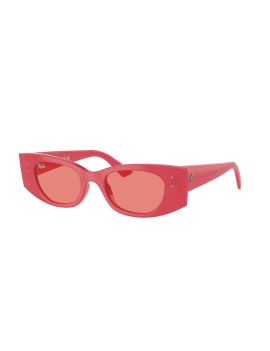 Ochelari de soare RAY-BAN 0RB4427 676084 49