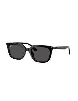 Ochelari de soare RAY-BAN 0RB4439D 901/87 54