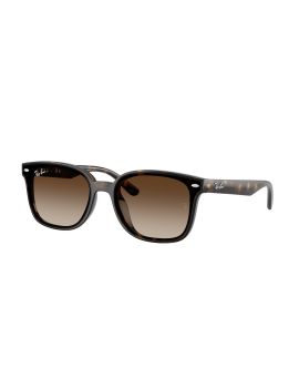 Ochelari de soare RAY-BAN 0RB4461D 710/13 64