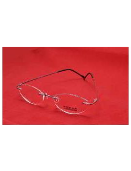 Rame ochelari de vedere Fitche TN-4040UM66 PE CAPSE