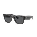 RAY-BAN 0RB0840S 1406B1 51