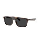 RAY-BAN 0RB2222 902/48 57
