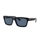 RAY-BAN 0RB4396 667780 54