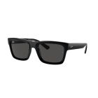 RAY-BAN 0RB4396 667787 54