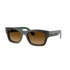 RAY-BAN 0RB7683S 140285 55