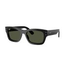 RAY-BAN 0RB7683S 901/31 55