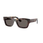 RAY-BAN 0RB7683S 902/B1 55