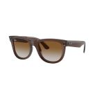 RAY-BAN 0RBR0502S 6709CB 50