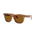 RAY-BAN 0RBR0502S 679183 53