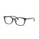RAY-BAN VISTA 0RX5407D 2012 52