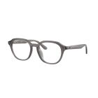 RAY-BAN VISTA 0RX7259D 8257 52